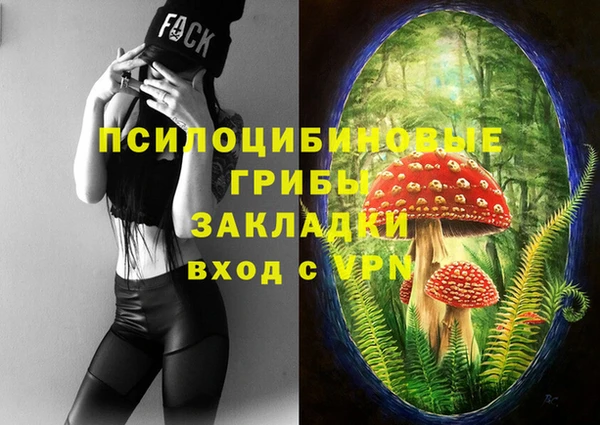 трава Беломорск