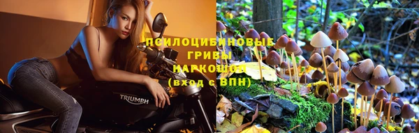 меф Медногорск