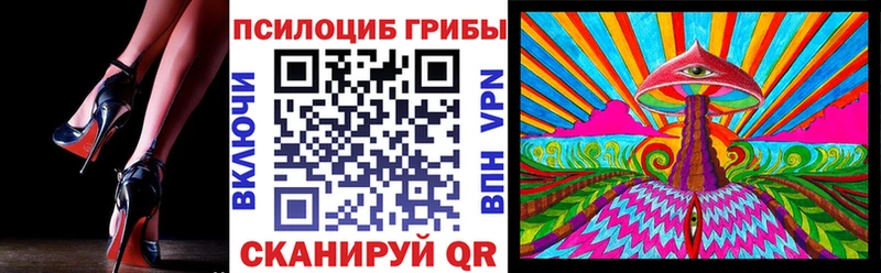 Псилоцибиновые грибы Cubensis  закладка  Благодарный 